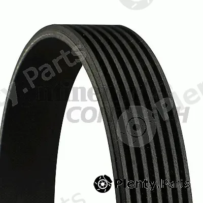 Continental Ctam Br 7PK1555 — V-Ribbed Belt