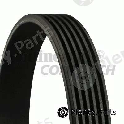 Continental Ctam Br 6PK1741 — V-Ribbed Belt