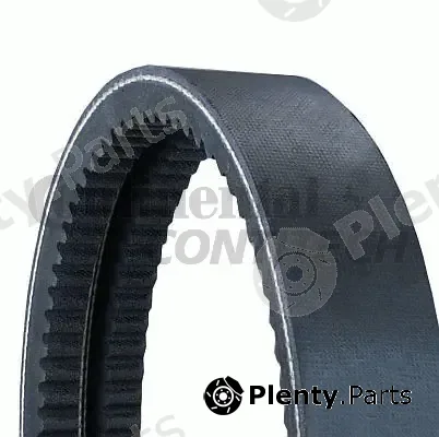 Continental Ctam Br 2/AVX13X1015 — Banded V-Belts