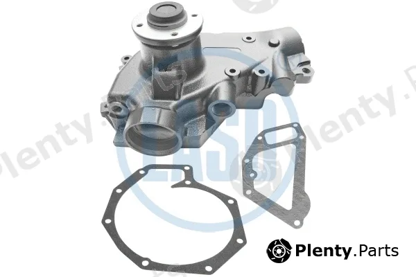 Laso 19200110 — Water Pump, engine cooling