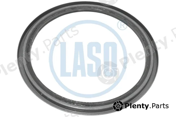 Laso 20354615 — Shaft Seal, water pump shaft