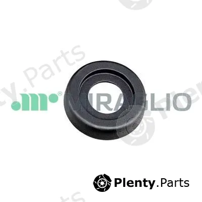 Miraglio 110/92 — Window Crank