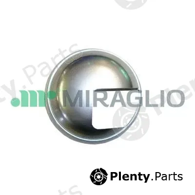 Miraglio 60/11 — Door Handle, interior equipment