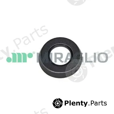 Miraglio 110/34 — Window Crank
