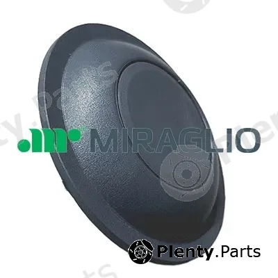 Miraglio 60/423 — Door Handle, interior equipment