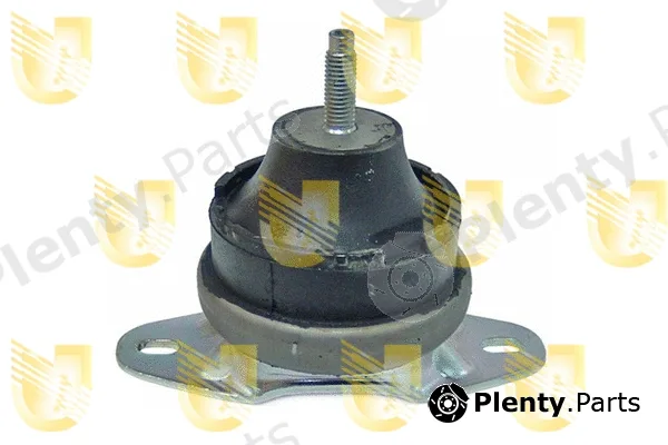 Unigom 395333 — Mounting, engine