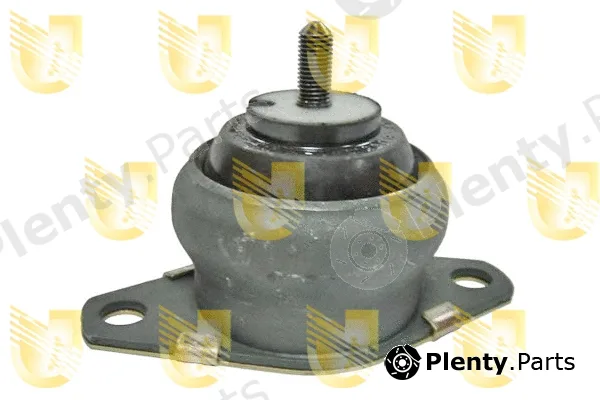 Unigom 395248 — Mounting, engine