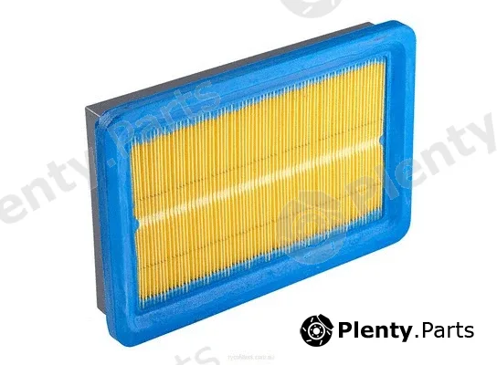 Ryco A365 — Air Filter