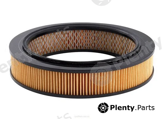 Ryco A325 — Air Filter