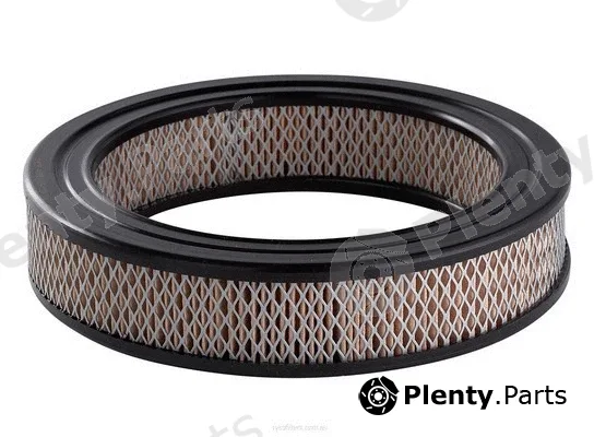 Ryco A350 — Air Filter