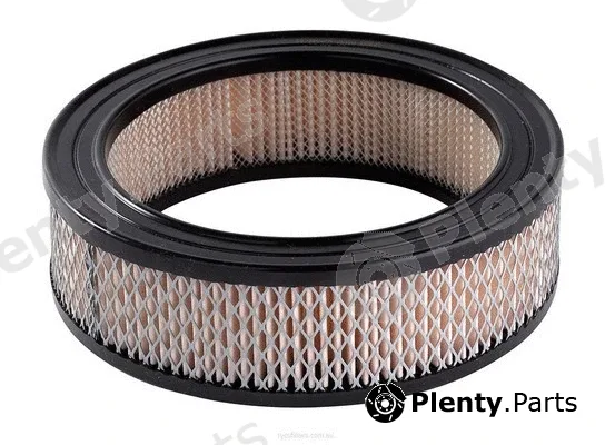 Ryco A100 — Air Filter