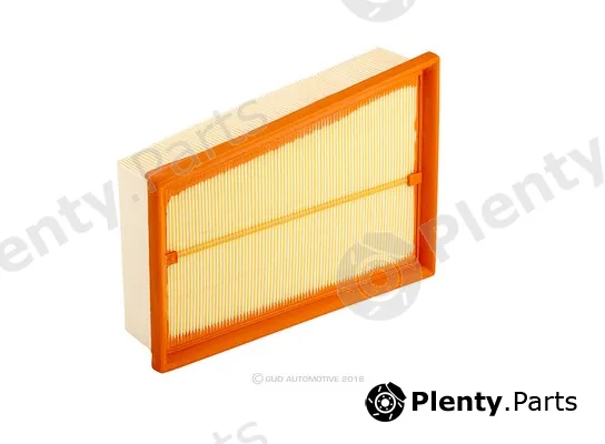 Ryco A1619FG — Air Filter