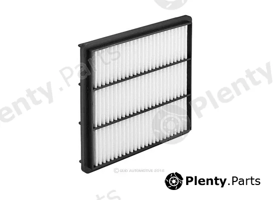 Ryco A489FG — Air Filter