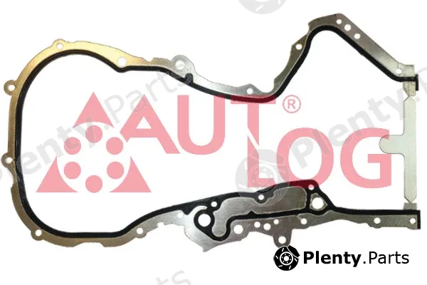 Autlog DI1002 — Seal, timing chain tensioner
