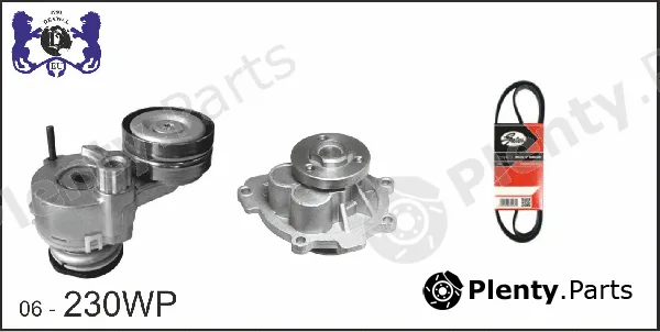 Dexwal Mobidex 06-230WP — Water Pump + V-Ribbed Belt Kit