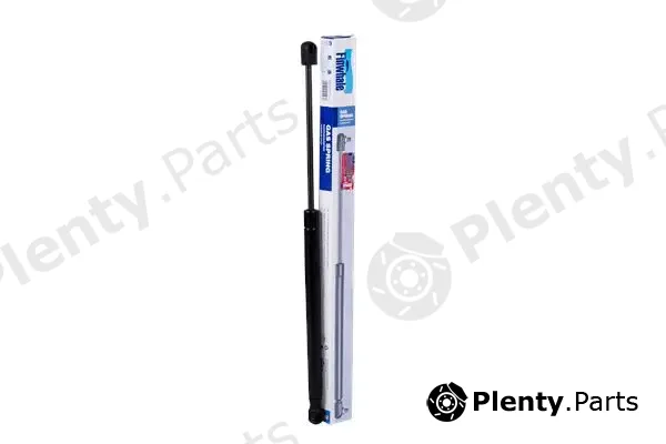 Finwhale 120223 — Gas Spring, boot/cargo area