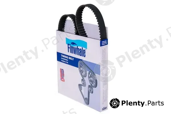 Finwhale BD162x25 — Timing Belt