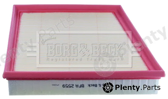 Borg & Beck BFA2559 — Air Filter
