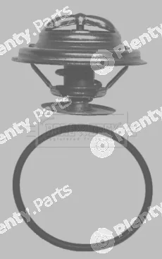 Borg & Beck BBT019 — Thermostat, coolant