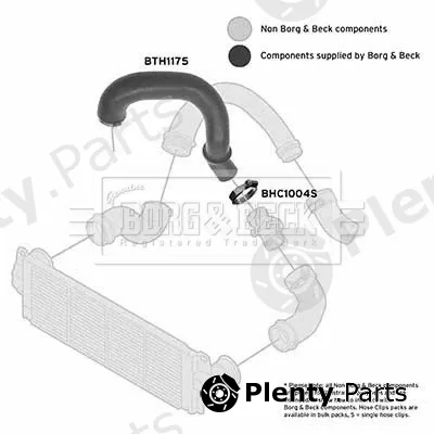 Borg & Beck BTH1175 — Charge Air Hose