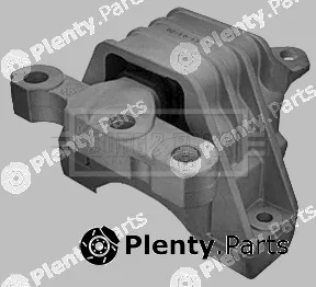 Borg & Beck BEM3993 — Mounting, engine