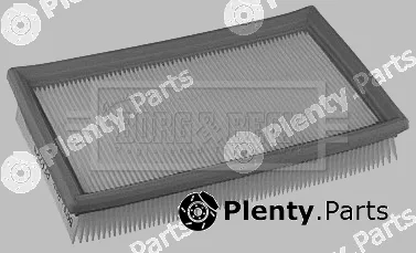 Borg & Beck BFA2301 — Air Filter