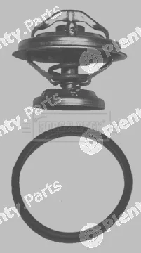 Borg & Beck BBT060 — Thermostat, coolant