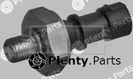 Borg & Beck BOP1017 — Oil Pressure Switch