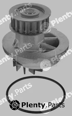 Borg & Beck BWP1748 — Water Pump, engine cooling