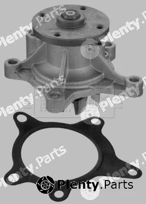 Borg & Beck BWP2233 — Water Pump, engine cooling