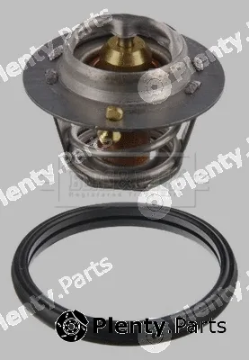 Borg & Beck BBT020 — Thermostat, coolant
