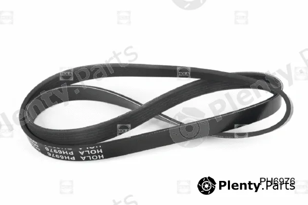Hola PH6976 — V-Ribbed Belt