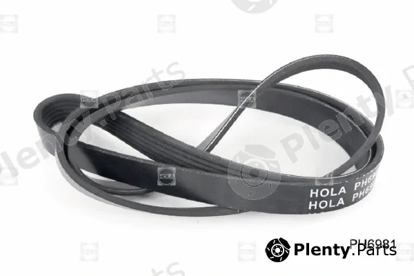 Hola PH6981 — V-Ribbed Belt