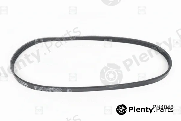 Hola PH4048 — V-Ribbed Belt