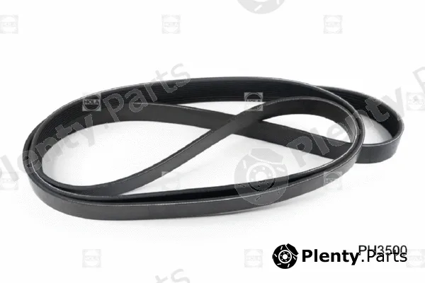 Hola PH3500 — V-Ribbed Belt