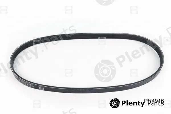 Hola PH4916 — V-Ribbed Belt