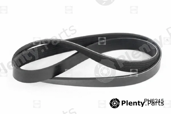 Hola PH6215 — V-Ribbed Belt