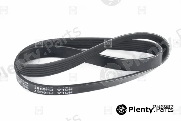 Hola PH6987 — V-Ribbed Belt