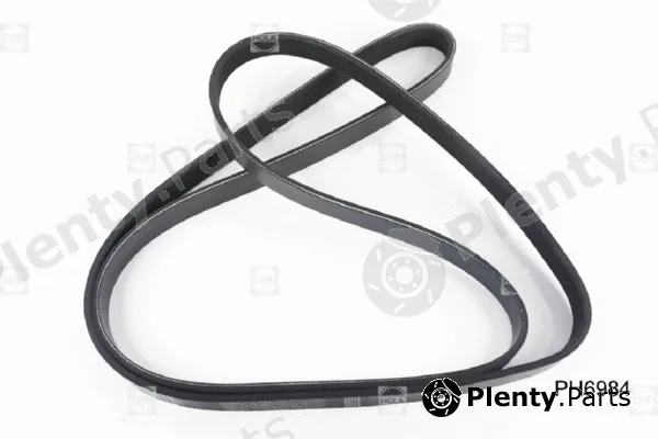 Hola PH6984 — V-Ribbed Belt