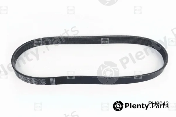 Hola PH6042 — V-Ribbed Belt