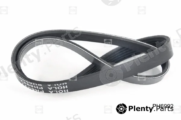 Hola PH6992 — V-Ribbed Belt