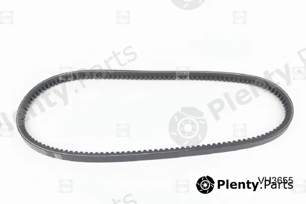 Hola VH3655 — V-Belt