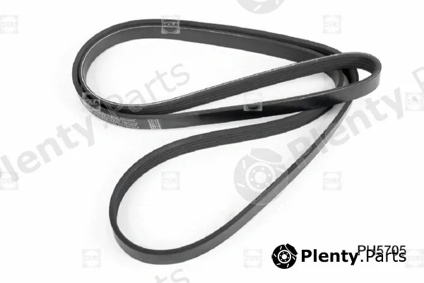 Hola PH5705 — V-Ribbed Belt