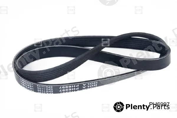 Hola PH6997 — V-Ribbed Belt