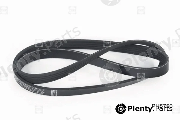 Hola PH5750 — V-Ribbed Belt