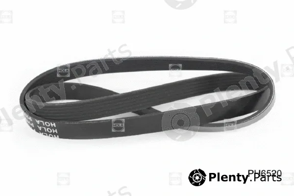 Hola PH6520 — V-Ribbed Belt