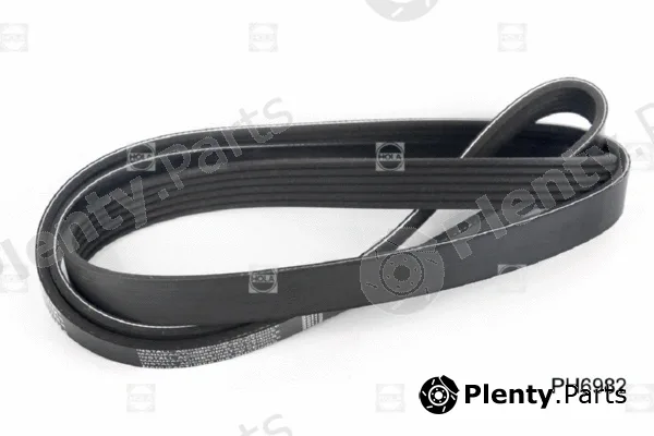 Hola PH6982 — V-Ribbed Belt