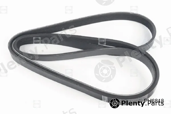 Hola PH6818 — V-Ribbed Belt