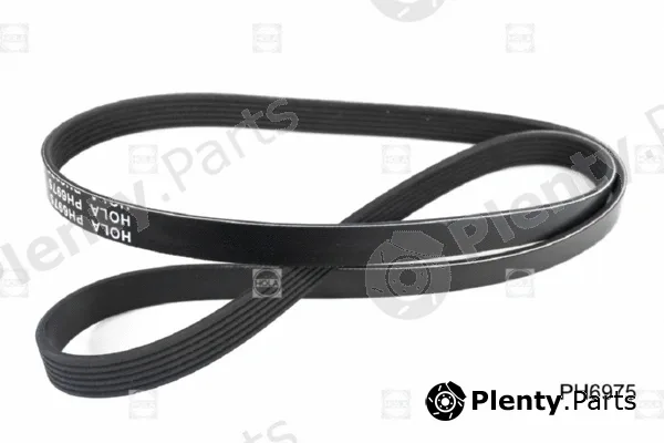 Hola PH6975 — V-Ribbed Belt