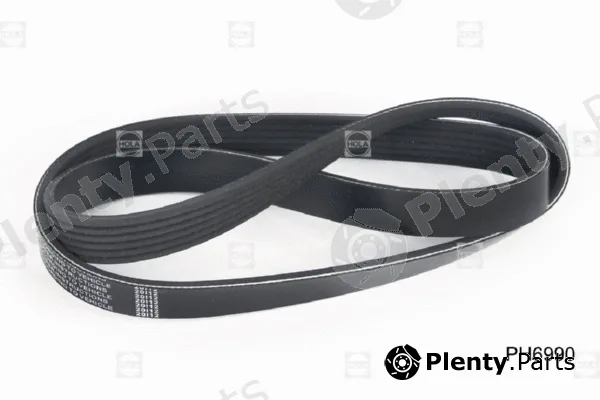 Hola PH6990 — V-Ribbed Belt